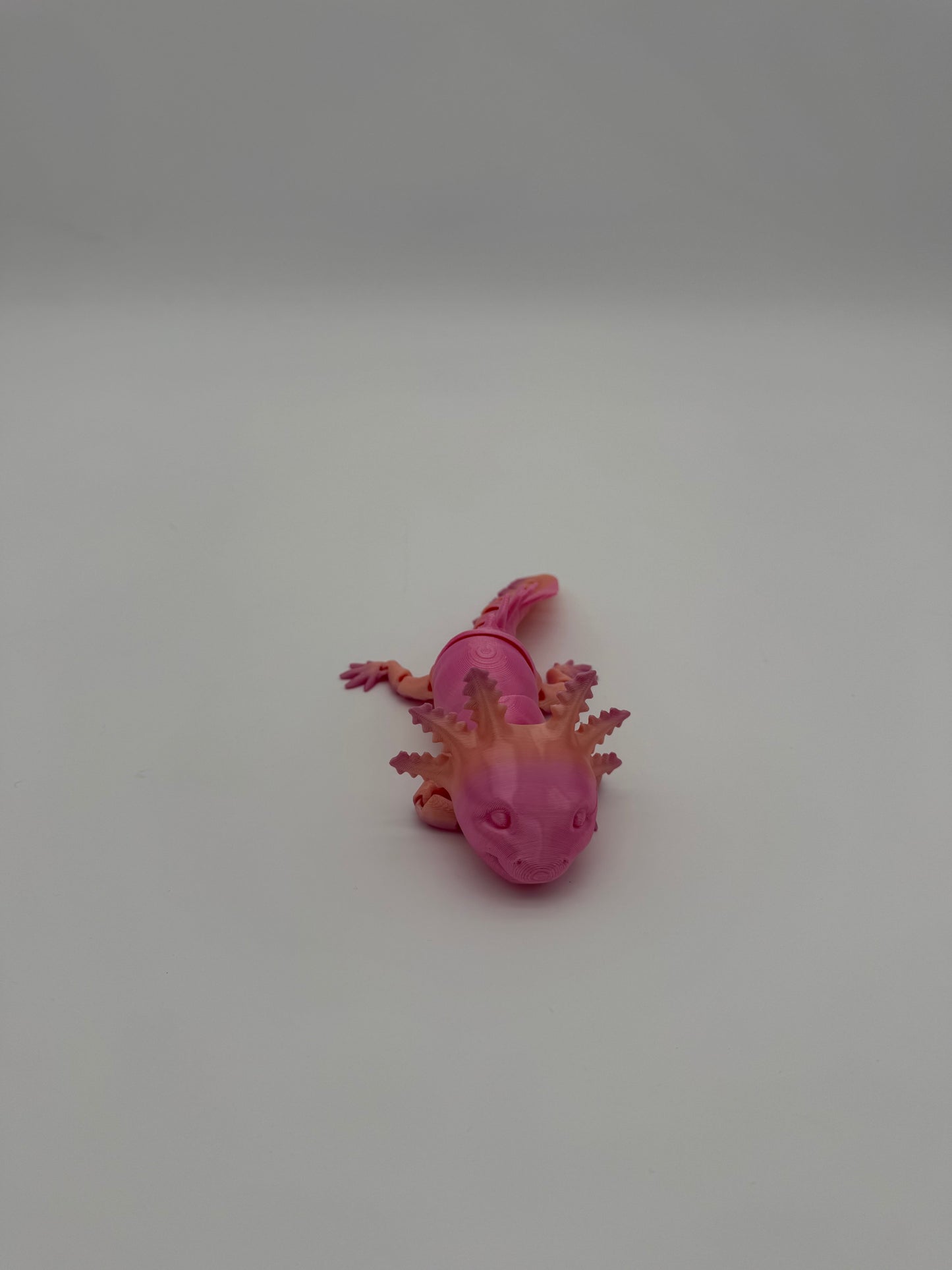 Axolotl