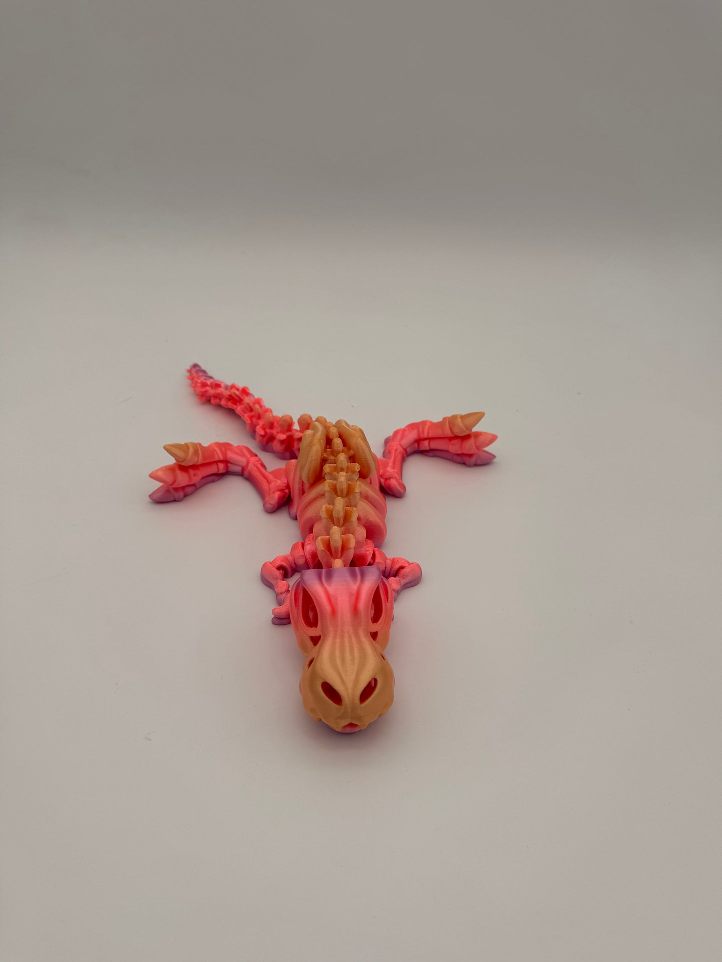 Skeleton Dinosaur