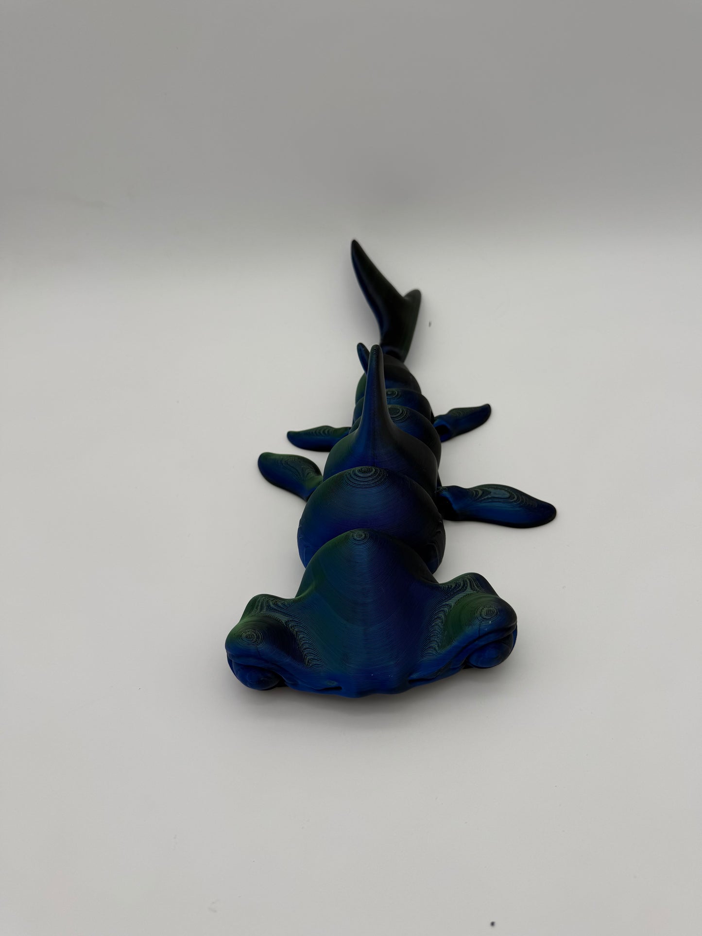 Hammerhead Shark