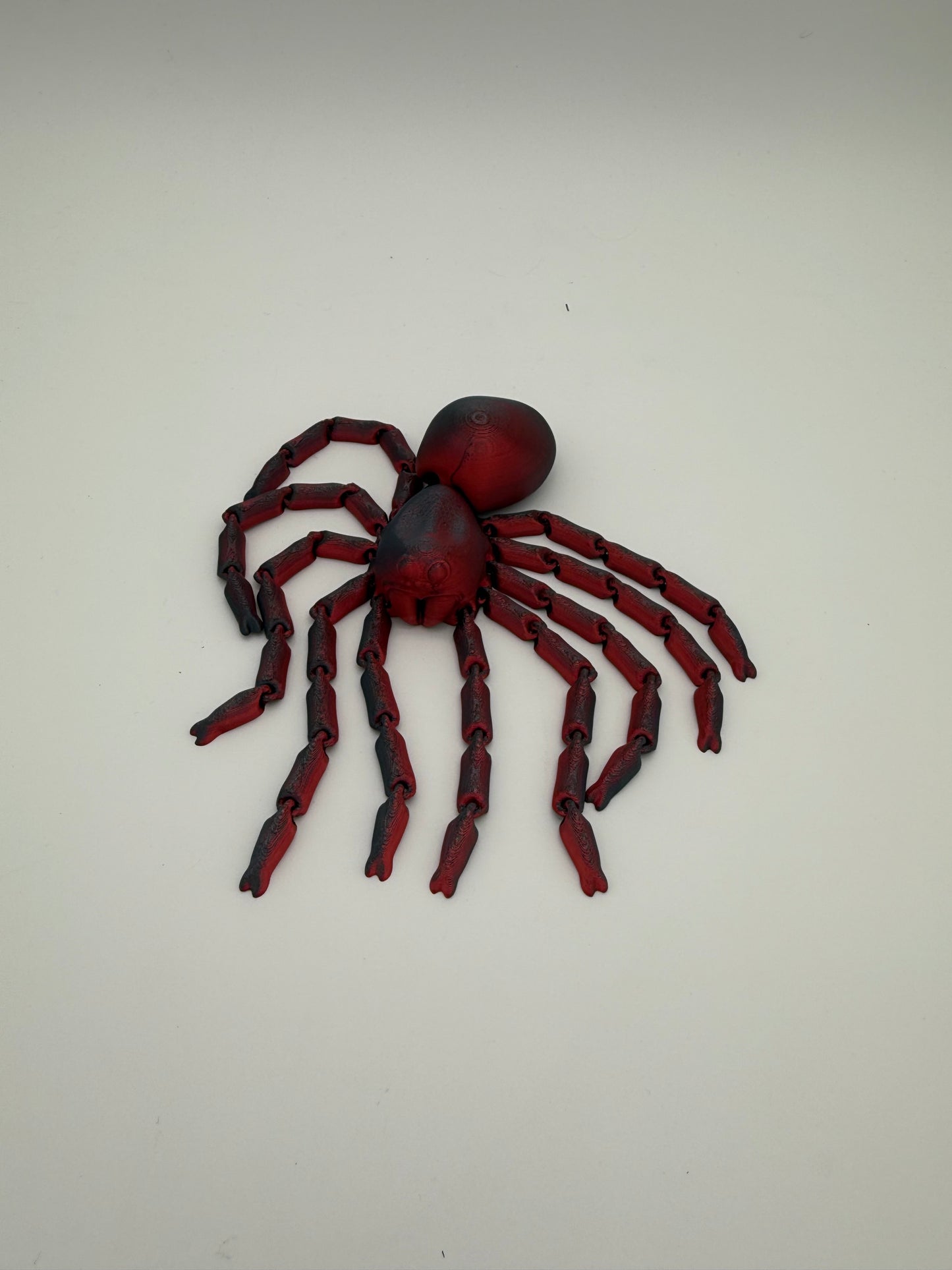 Spider