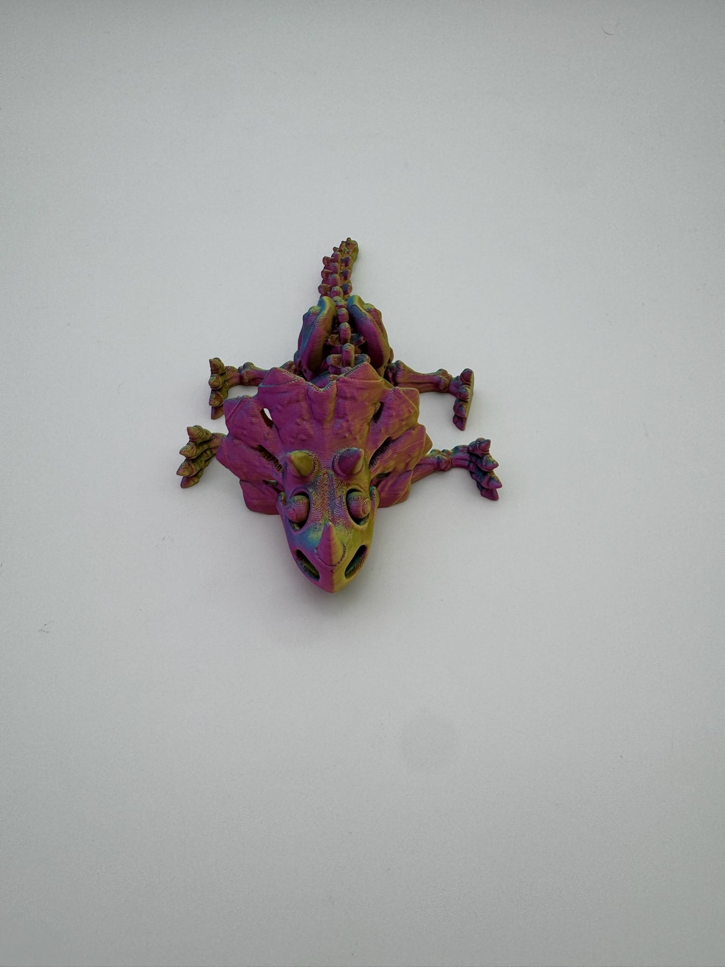 Skeleton Triceratops