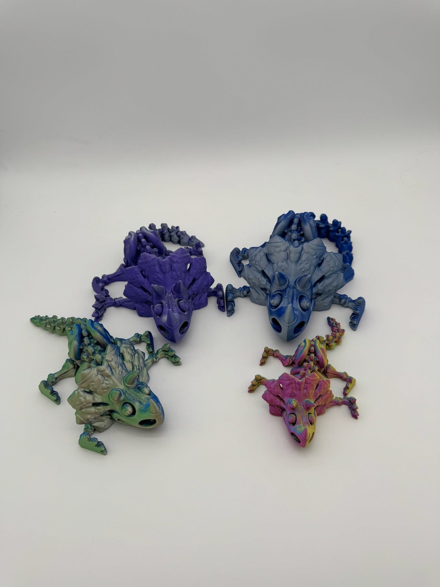 Skeleton Triceratops