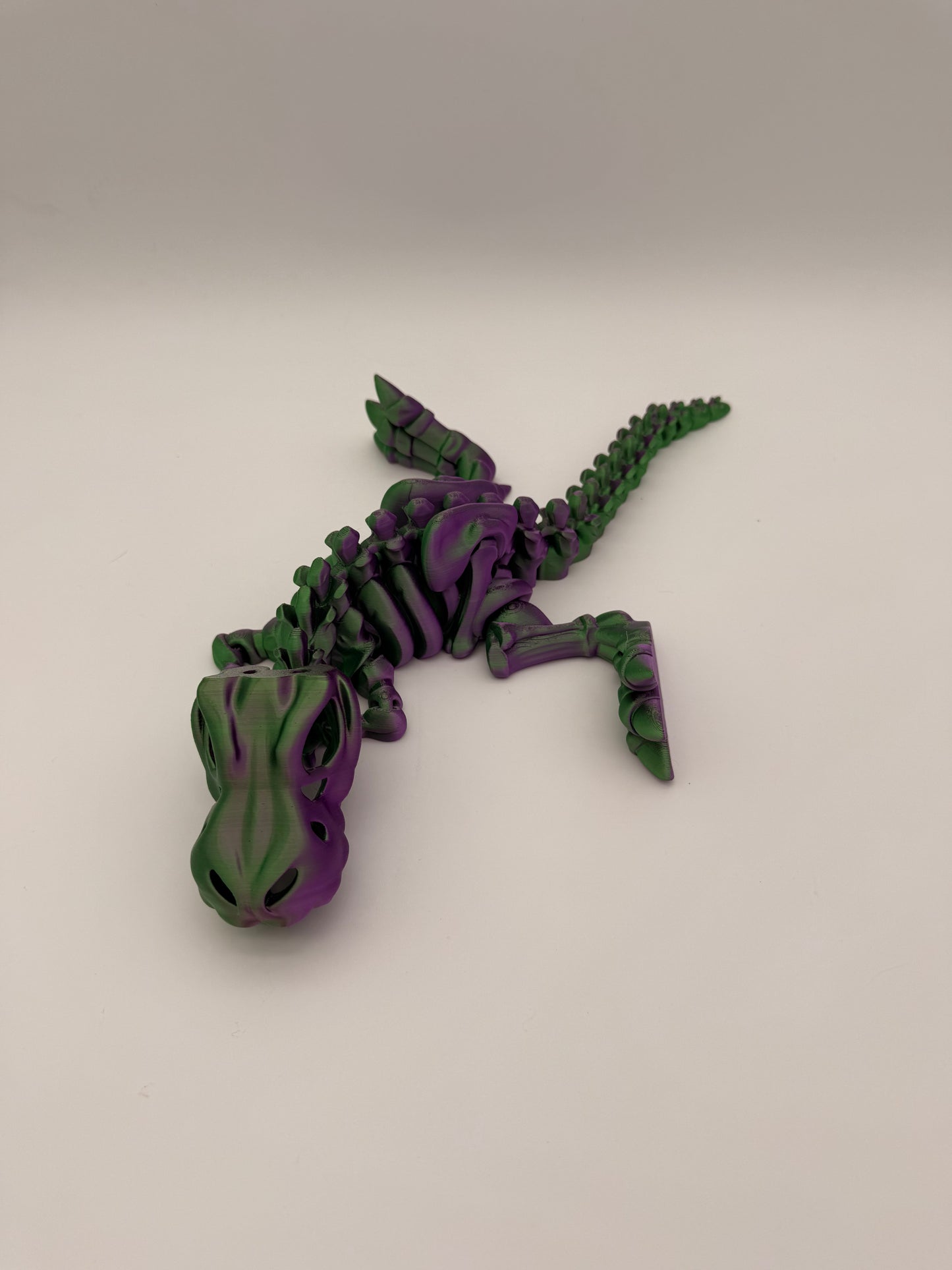 Skeleton Dinosaur