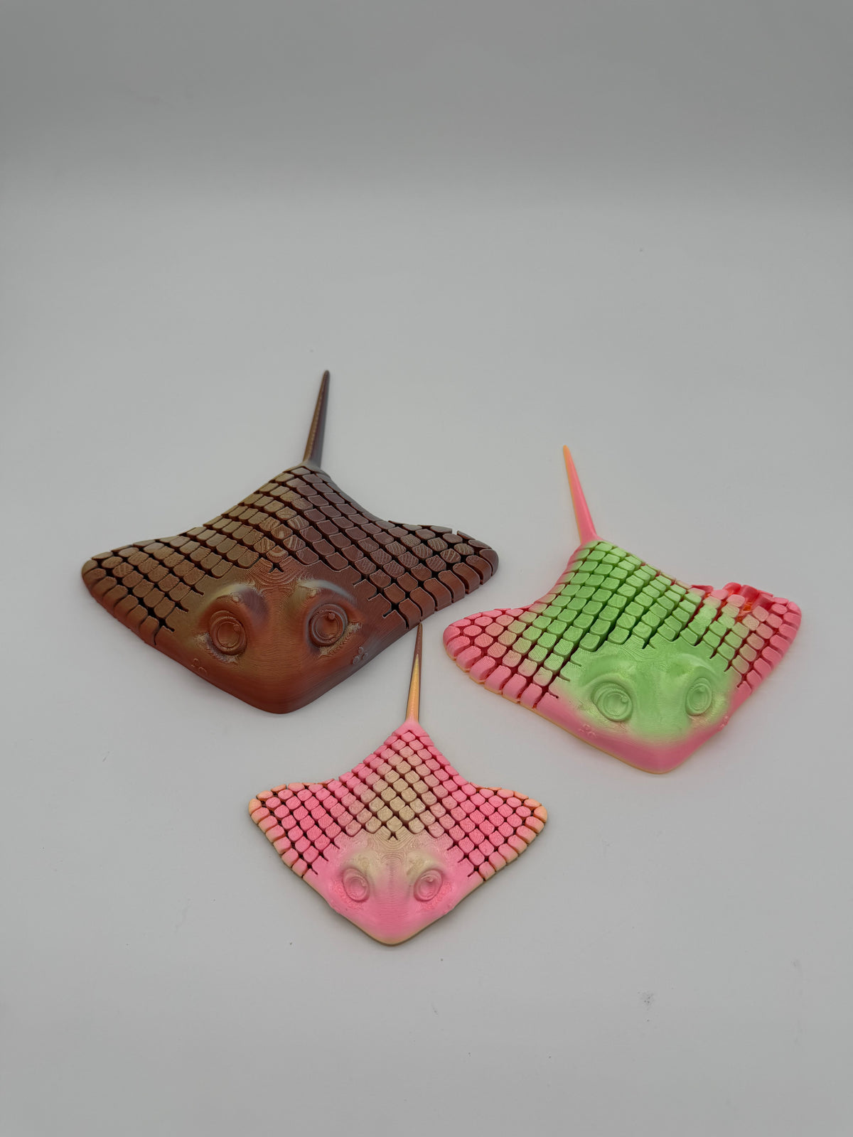 Ray Fidget Sting Ray Fidget – HQ_Prints
