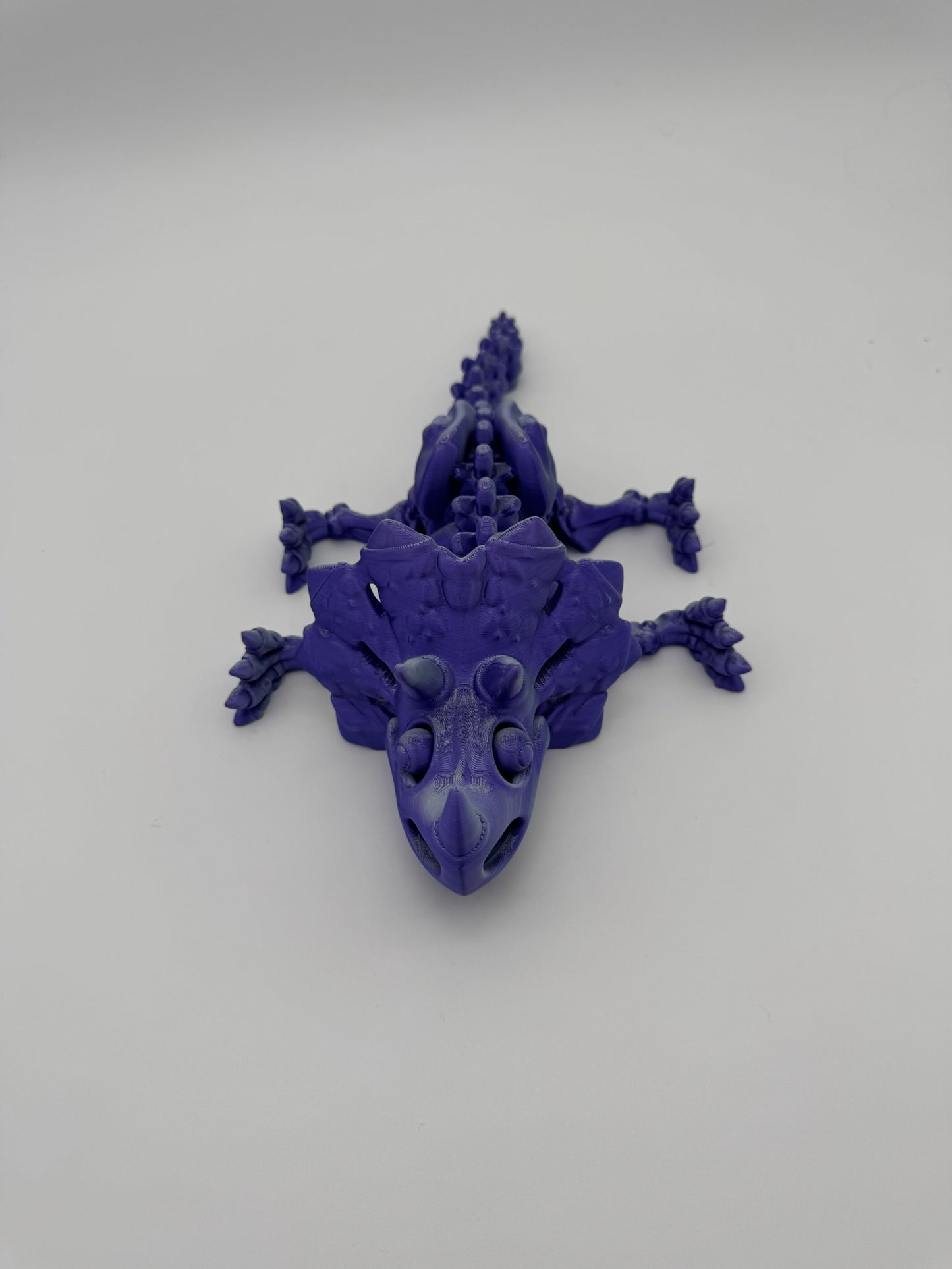 Skeleton Triceratops