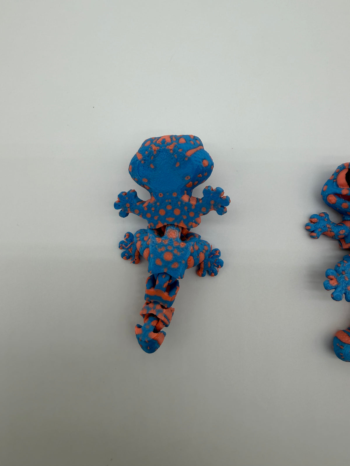 Multi Color Gecko